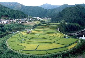 和歌山ツーリング(清水町)